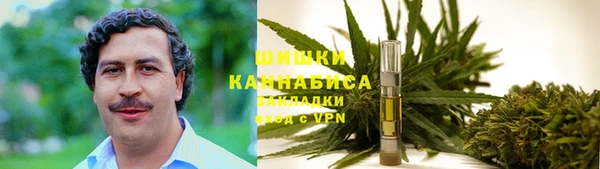 mdpv Гусь-Хрустальный