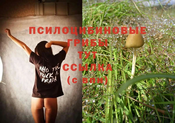 mdpv Гусь-Хрустальный