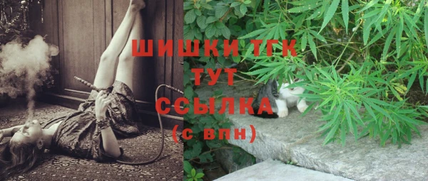 прущая мука Гусев