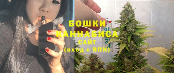 mdpv Гусь-Хрустальный