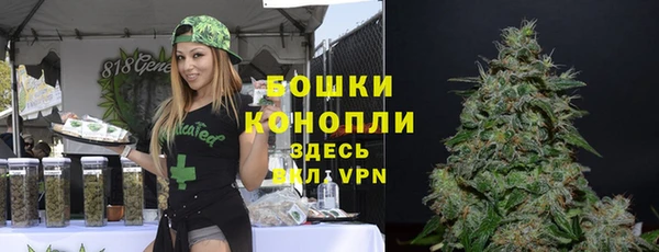 прущая мука Гусев